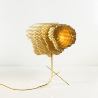  Vincent Poujardieu - Mini NIDA